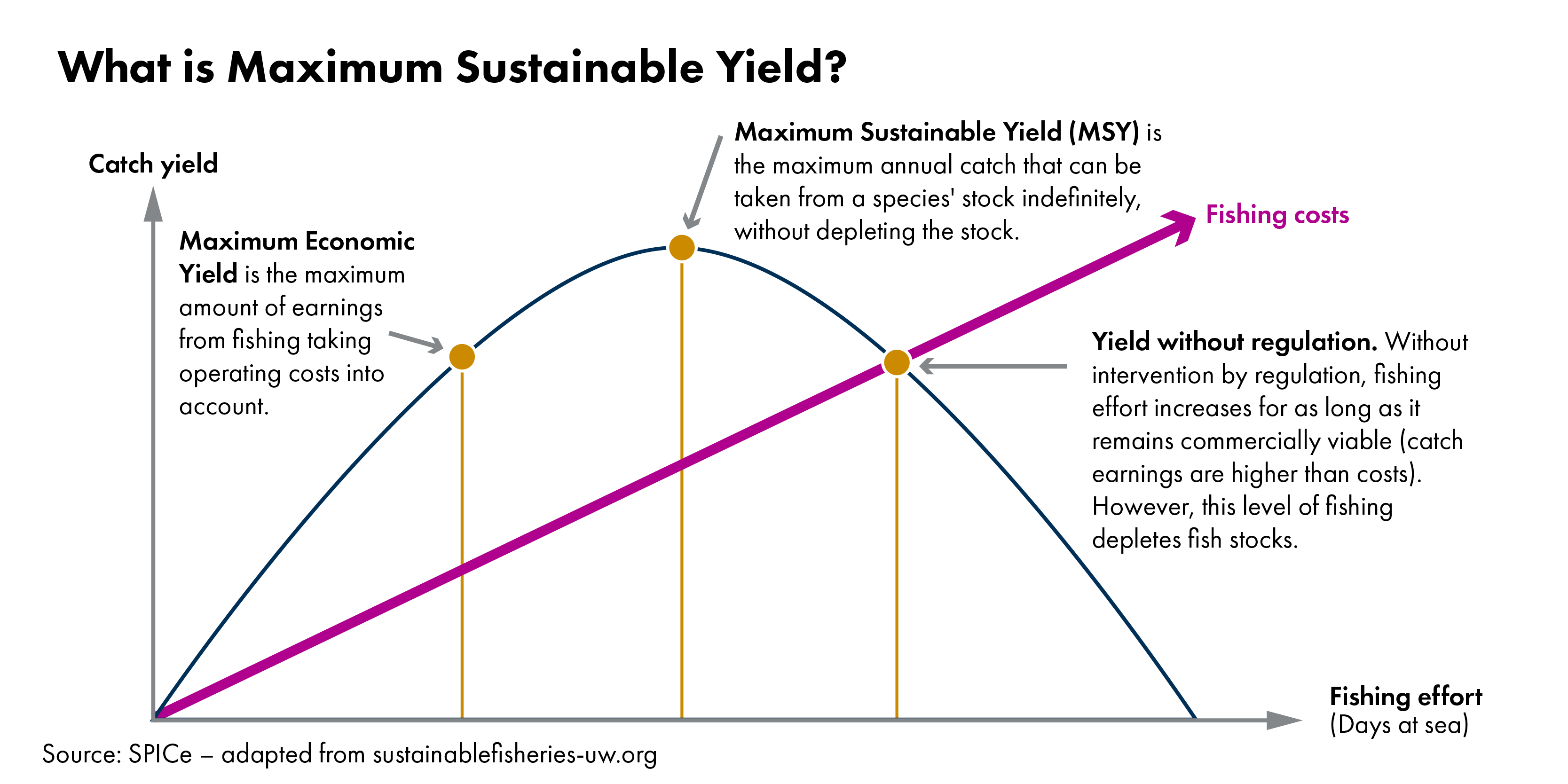 Chart showing a conceptual graph of Maximum Sustainable Yield. On the X axis is fishing effort. The Y axis is catch yield. The chart shows a bell curve with a linear line indicating fishing costs. There are 3 points marked on the curve. The first indicates maximum economic yield. This is the maximum amount of earnings from fishing, taking operating costs into account. The second point is at the peak of the curve. This is maximum sustainable yield which is the maximum annual catch that can be taken from a species' stock indefinitely without depleting the stock. The final point intersects the fisheries cost line. This is yield without regulation. Without intervention by regulation, fishing effort increases for as long as it remains commercially viable (catch earnings are higher than costs). However, this level of fishing depletes fish stocks.